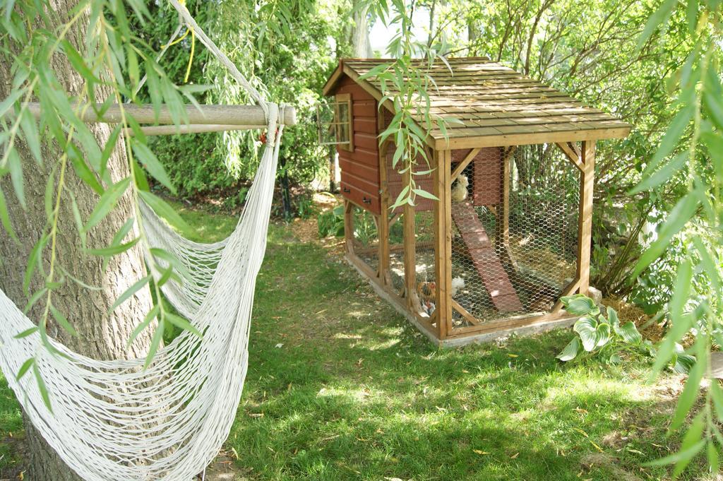 La Belle Aux Berges Bed and Breakfast Saint-Denis-sur-Richelieu Εξωτερικό φωτογραφία