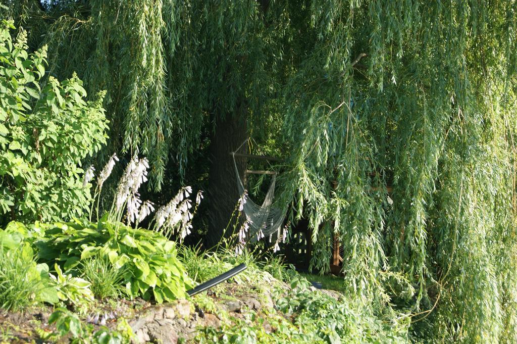 La Belle Aux Berges Bed and Breakfast Saint-Denis-sur-Richelieu Εξωτερικό φωτογραφία