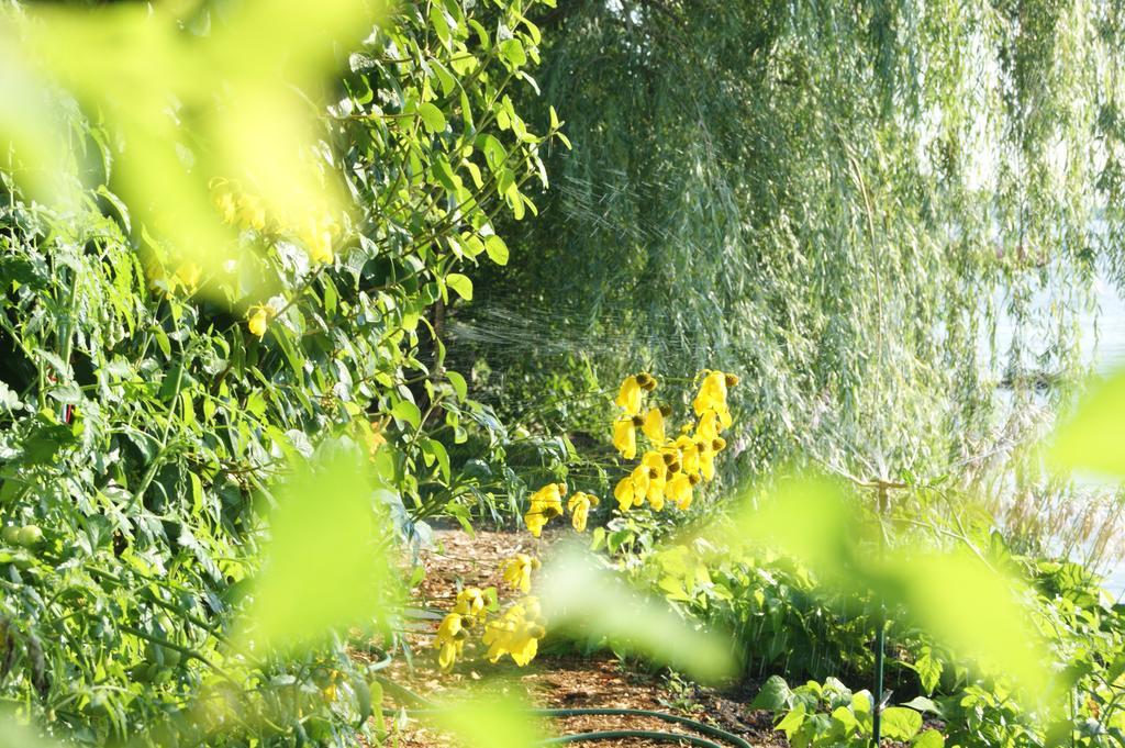 La Belle Aux Berges Bed and Breakfast Saint-Denis-sur-Richelieu Εξωτερικό φωτογραφία
